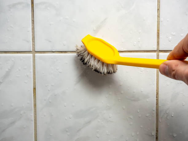 Best Residential Mold Removal  in Northlake, IL