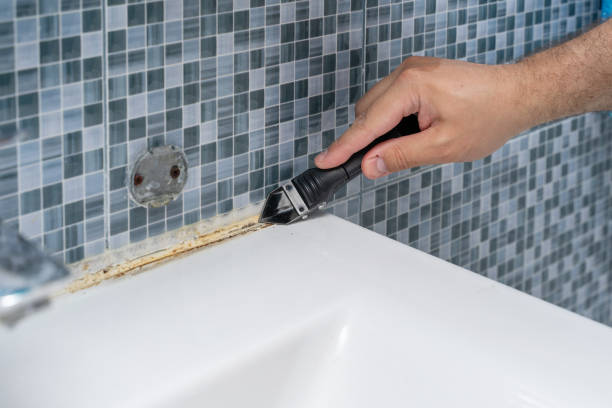 Best Toxic Mold Removal  in Northlake, IL