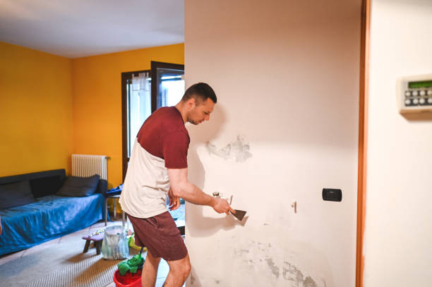 Best Mold Testing  in Northlake, IL